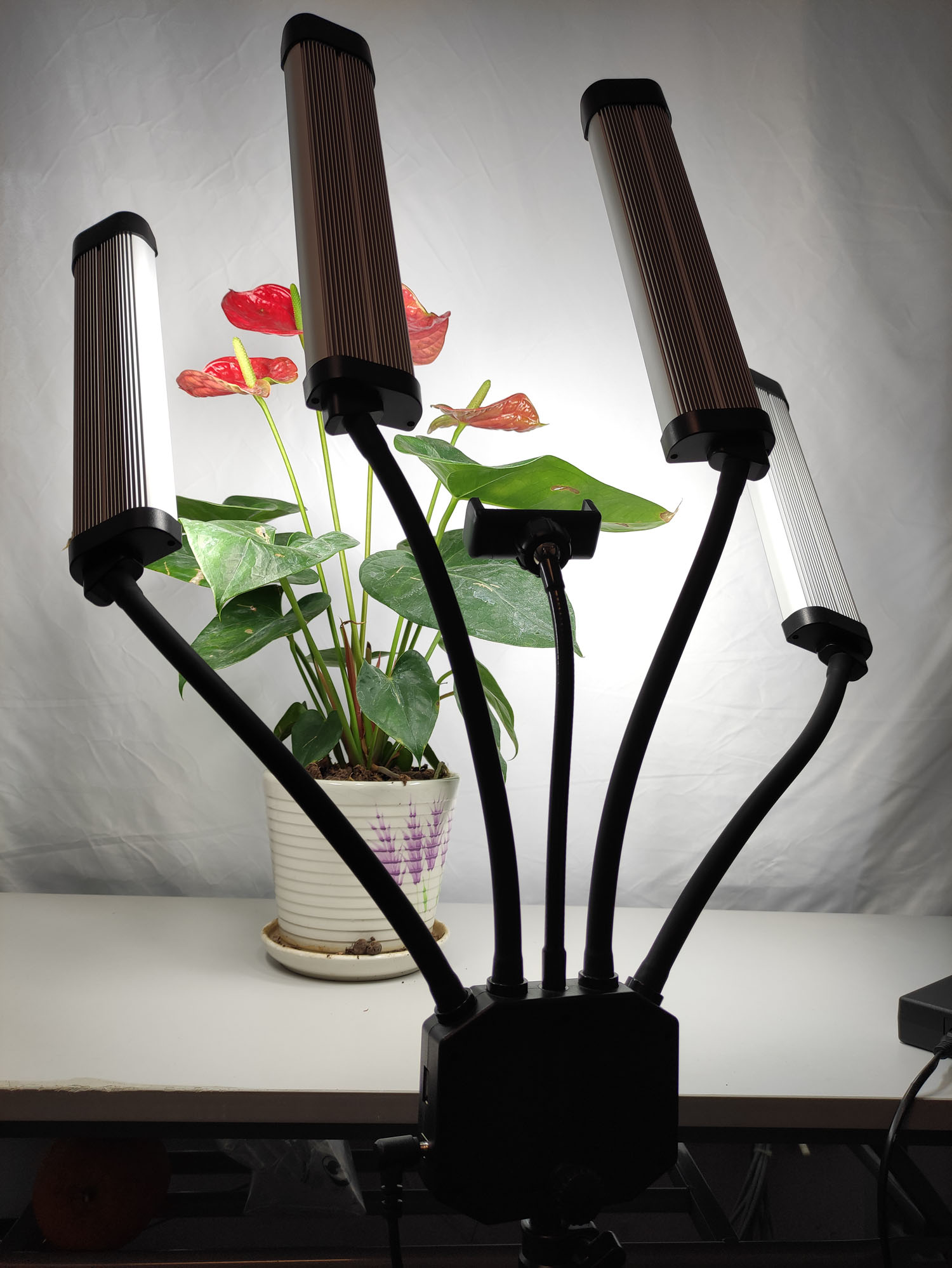 Bi-color Lamp 65W Professional - Beauty Makeup Video incelemesi ve fiyatı